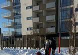 20170303_104140 (720x1280).jpg (90386 bytes)